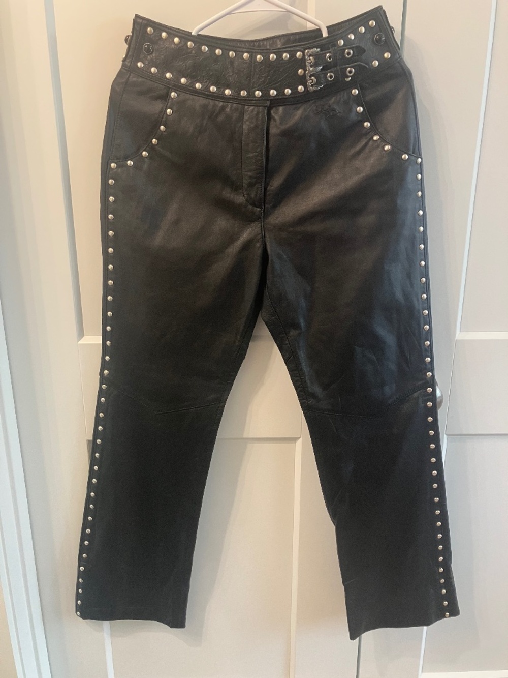 Harley Davidson leather pants